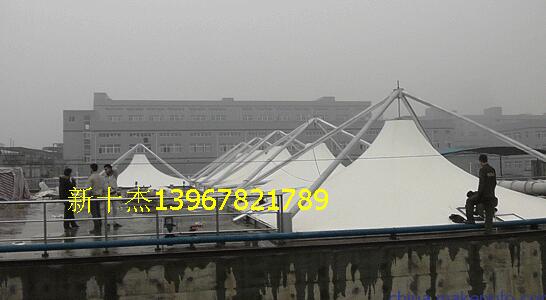 ����ͣ܇��